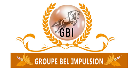 GROUP BEL IMPULSION